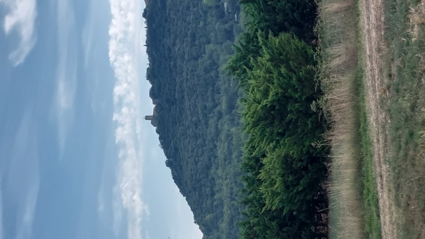 St Julien